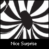 Nice Surprise