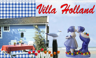 nieuwe website villa holland - vakantiehuisjes aan zee