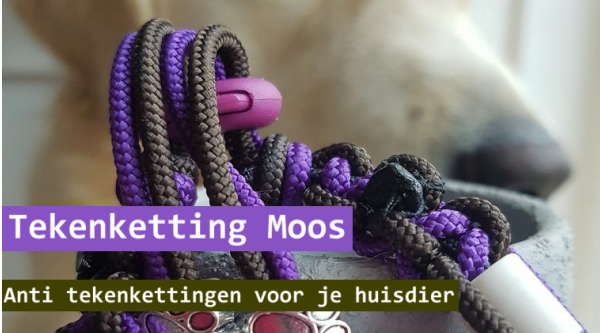 Tekenketting Moos – nieuwe webwinkel